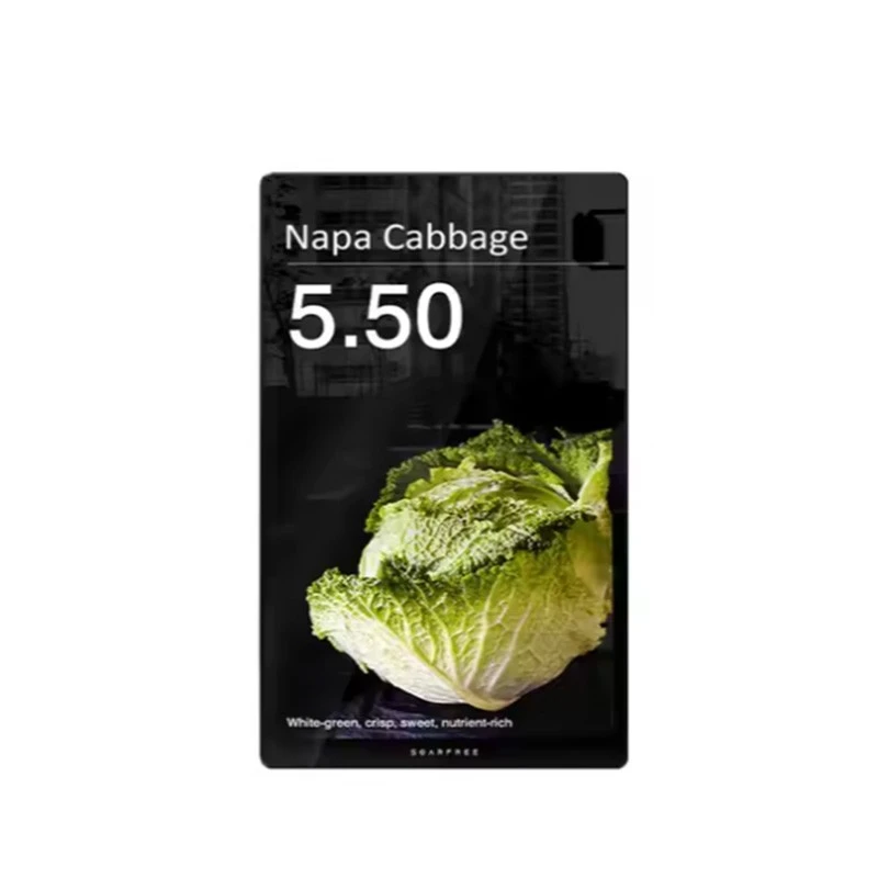 10.1" LCD ꯄ꯭ꯔꯥꯏꯁ ꯁ꯭ꯛꯔꯤꯟ – ꯗꯕꯜ-ꯁꯥꯏꯗ ꯗꯤꯖꯤꯇꯦꯜ ꯁꯦꯂꯐꯝ ꯁꯥꯏꯅꯦꯖ꯫
